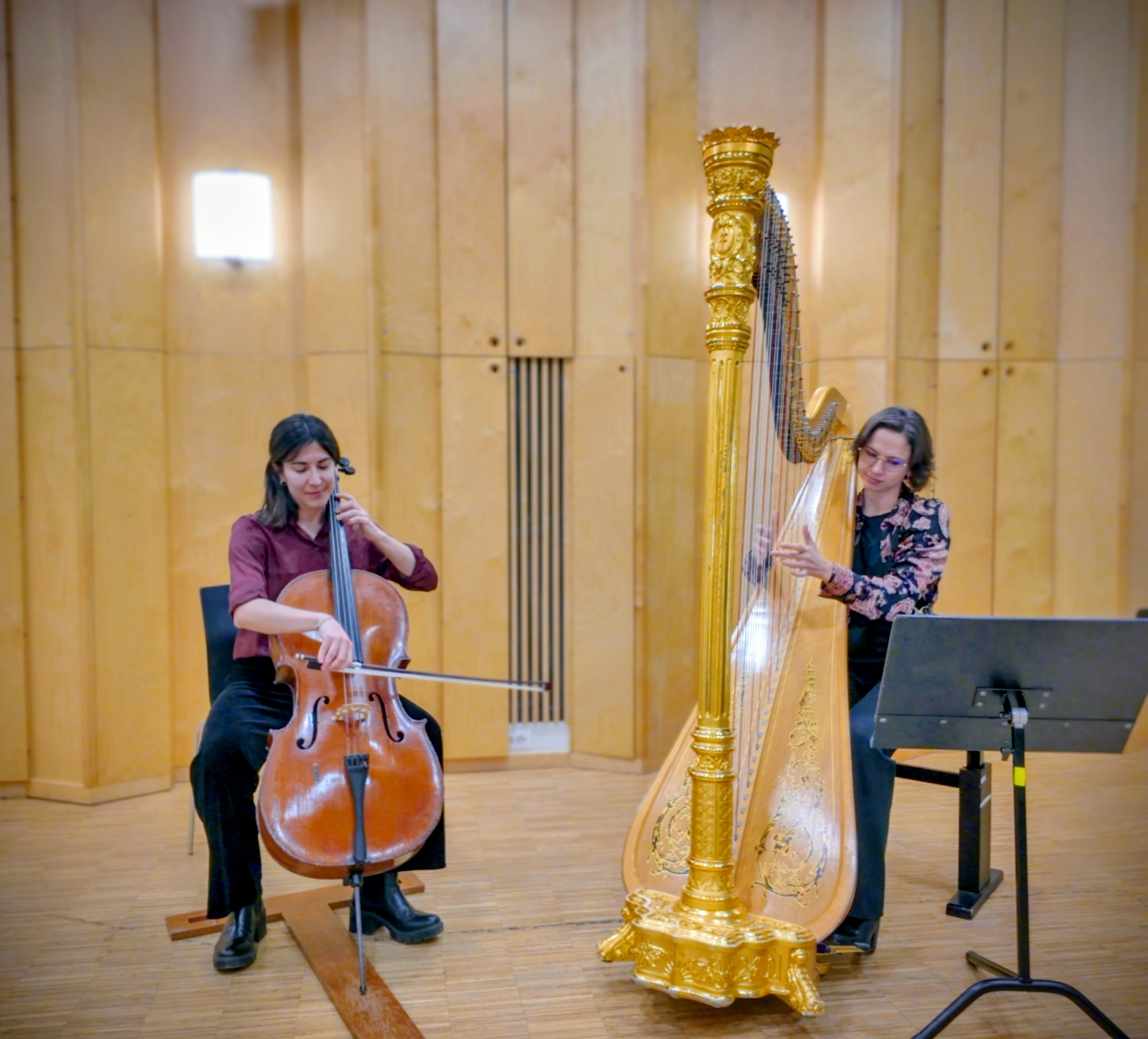 Duo Harpe & Cello Credits: