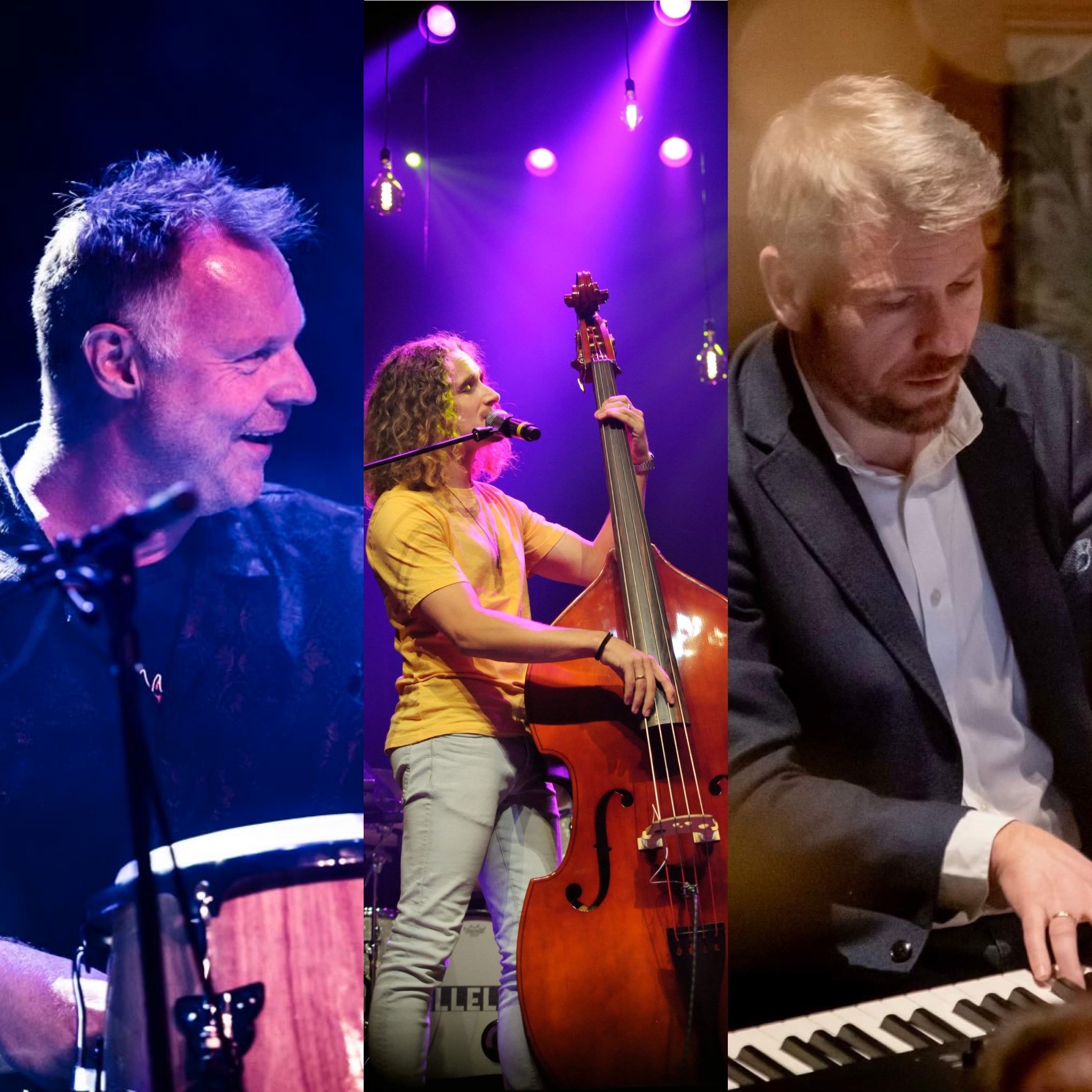 Larvik Jazz Trio Credits: