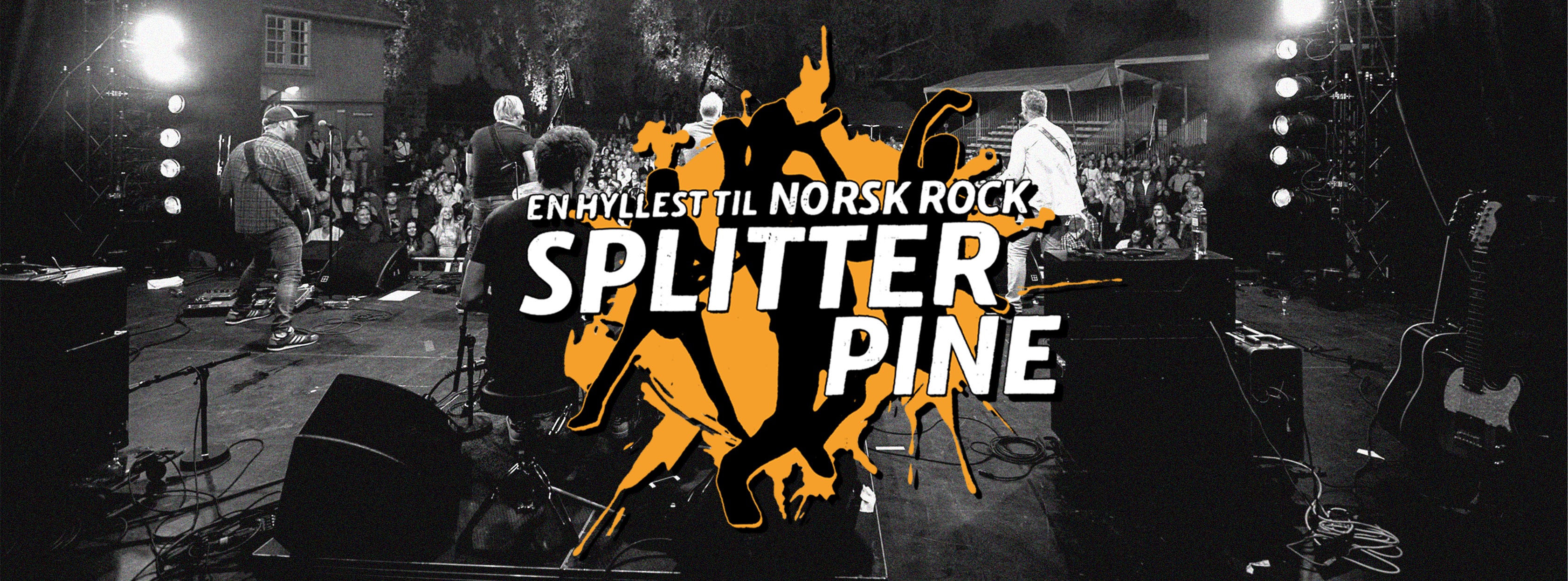 Splitter Pine - En hyllest til norsk pop og rock Credits: